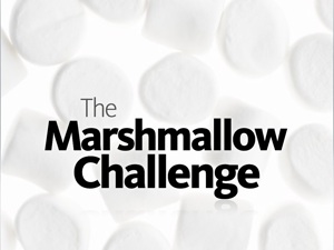 TEDU2010_Tom_Wujec__Marshmallow_Challenge_2010_02_09_final.048.jpg
