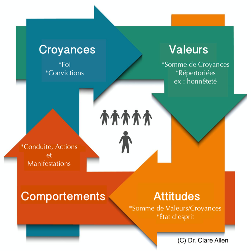beliefs-values-bahaviours-and-attitudes_fr.png