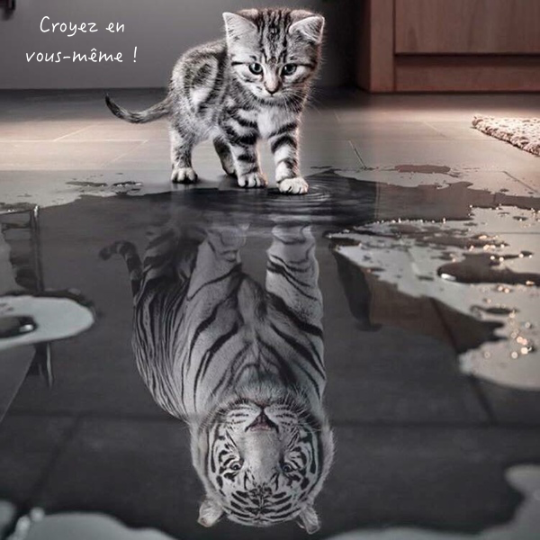 believe-in-yourself_fr.png