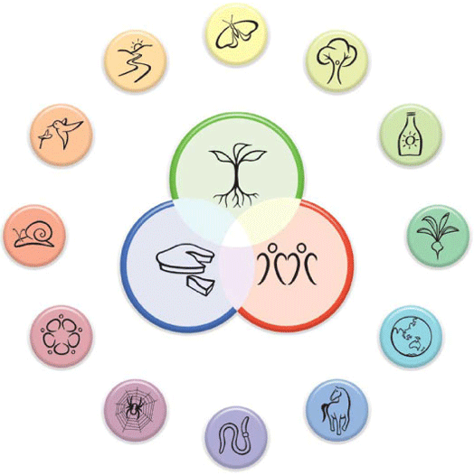 permaculture-principles.gif