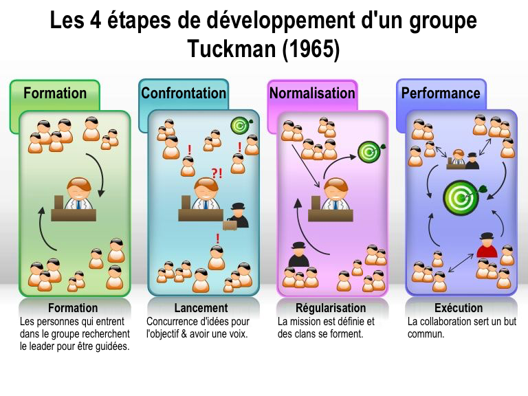 tuckman-group-development_fr.png