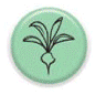 permaculture-principe-03.png
