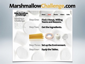 TEDU2010_Tom_Wujec__Marshmallow_Challenge_2010_02_09_final.045.jpg