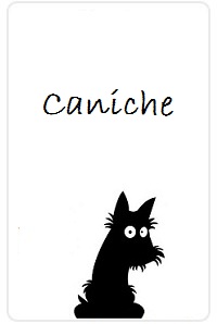 Caniche-doggy-planning.jpg