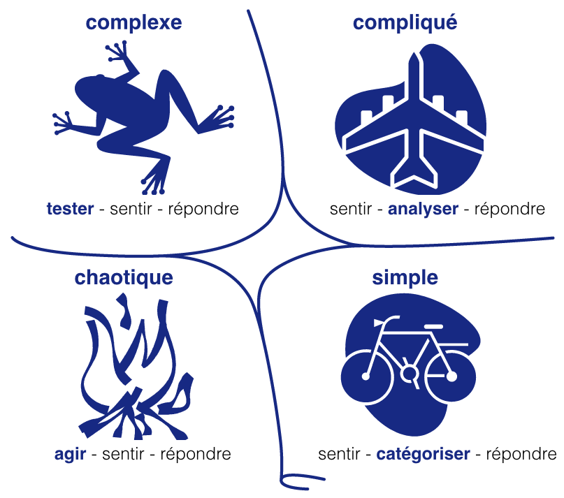 Cynefin_fr.png