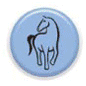 permaculture-principe-05.png