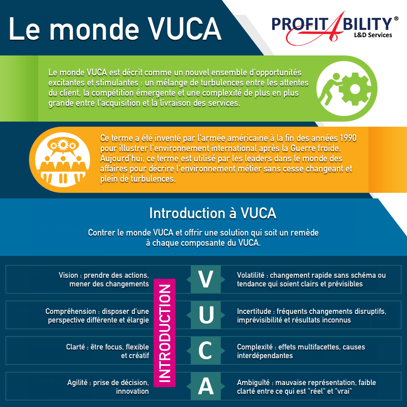 The-VUCA-World_fr.png