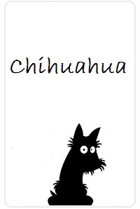 Chihuahua-doggy-plnnning.jpg