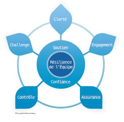 team-resilience-model_fr.png