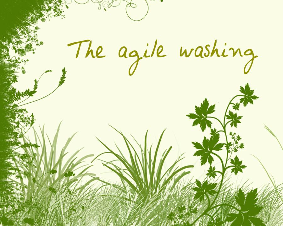 agile_washing.jpg