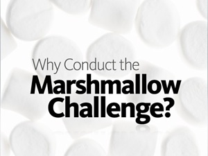 TEDU2010_Tom_Wujec__Marshmallow_Challenge_2010_02_09_final.041.jpg