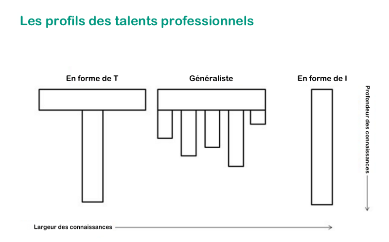 Fichier:Professional-skills-profiles fr.png