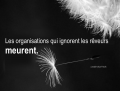 Vignette pour la version du 15 juillet 2018 à 20:11