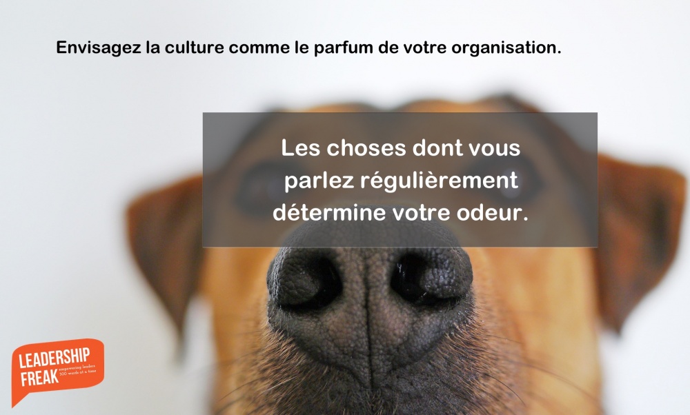 think-of-culture-as-aroma_fr.jpg