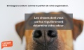 Vignette pour la version du 15 juillet 2018 à 19:35