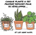 Vignette pour la version du 20 décembre 2021 à 13:19