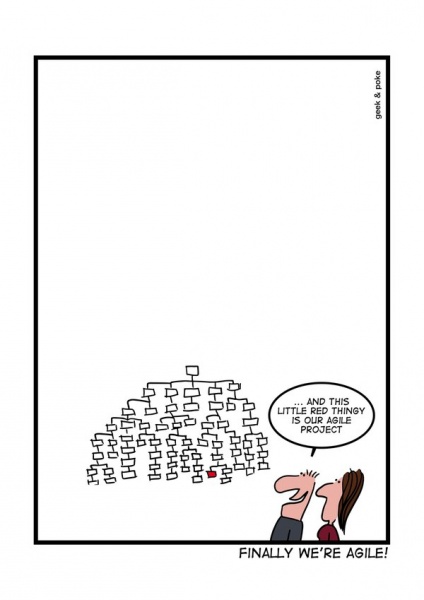 Fichier:Finally-we-are-agile en.jpg