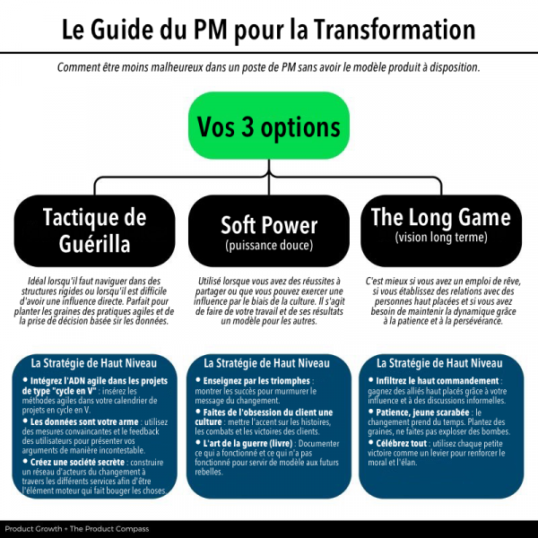 Fichier:The IC PM Guide to Transformation FR.png