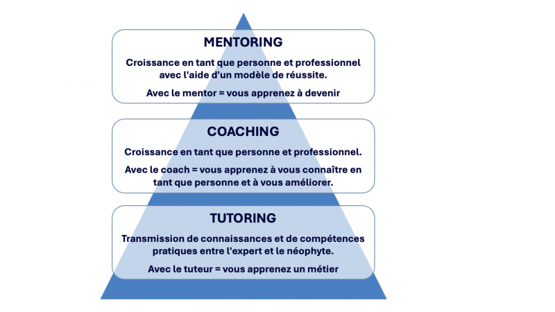Fichier:Mentoring vs Coaching vs Tutoring FR.png