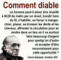 Vignette pour la version du 15 juillet 2018 à 11:00