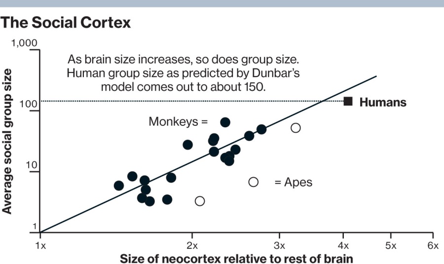 the social-cortex-dunbar-number_en.jpg