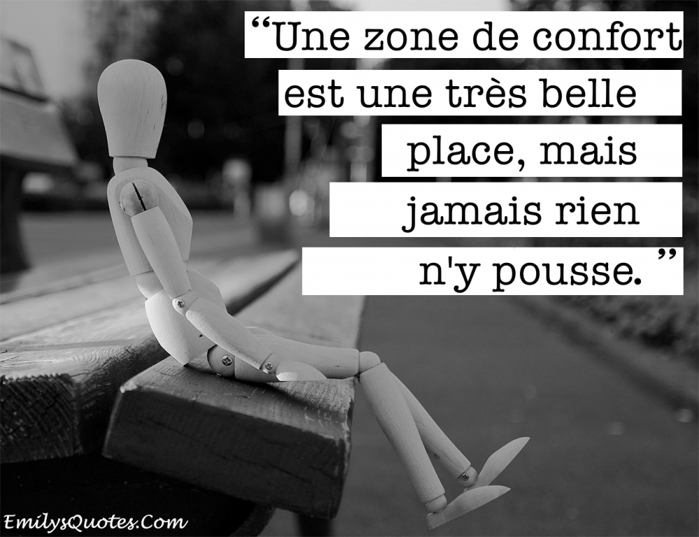comfort_zone_fr.png
