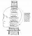 Vignette pour la version du 23 juillet 2020 à 08:45