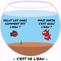 Vignette pour la version du 14 octobre 2022 à 11:59