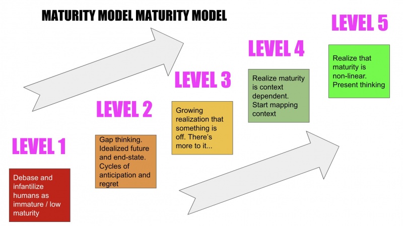 Fichier:Maturity-model-maturity-model EN.jpeg