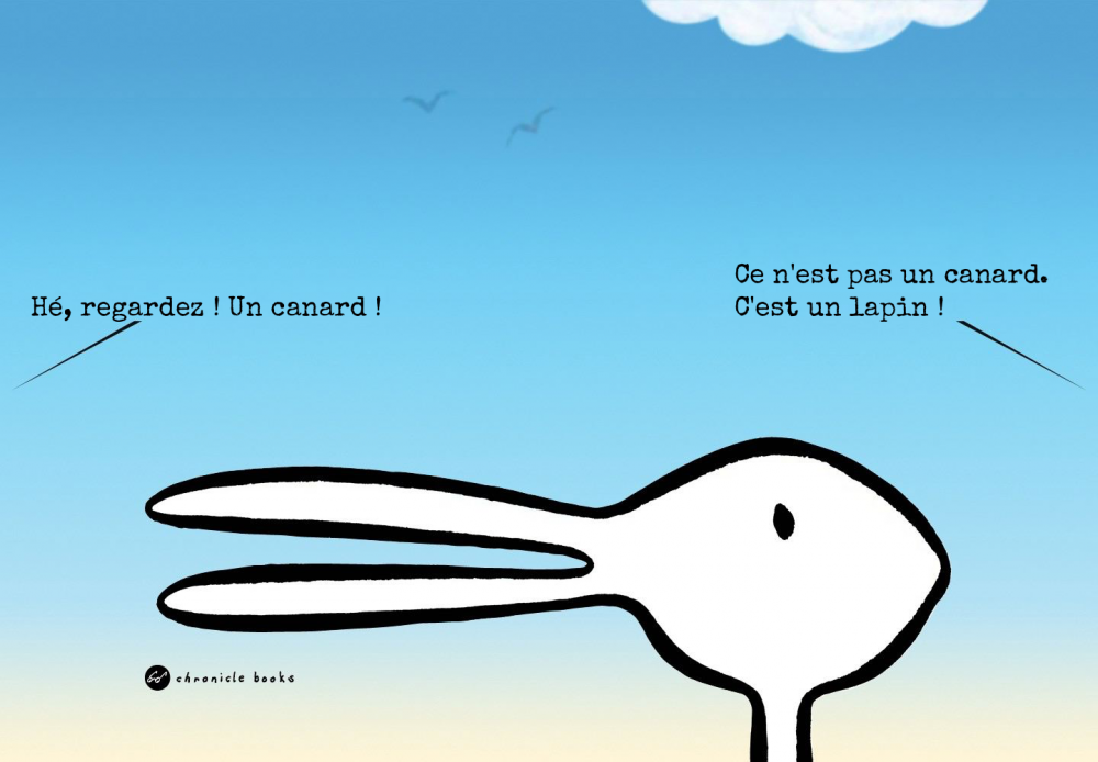 rabbit-duck-paradigm-change_fr.png